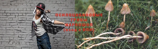 ГАЛЛЮЦИНОГЕННЫЕ ГРИБЫ Красноперекопск