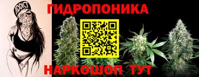 соль ск Ипатово