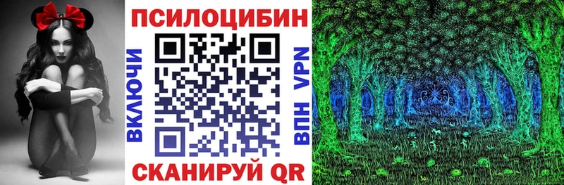 blacksprut зеркало  Петрозаводск  Псилоцибиновые грибы ЛСД 