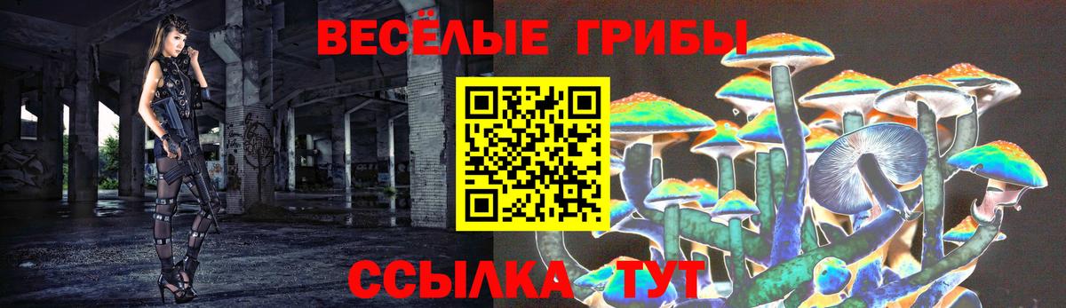 Петрозаводск  Псилоцибиновые грибы Cubensis  Псилоцибиновые грибы прущие грибы  Вход с VPN 